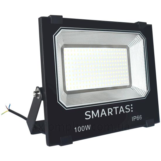 Smartas Incity 100 (IY3-320100W-255-19F1) фото