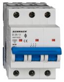 Автоматичний вимикач Schrack AM019325 10кА 25А 3P х-ка D