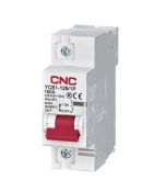 Автоматический выключатель CNC YCB1-125 1Р 100А 6кА D (Б00029339)