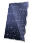 Солнечная панель Ja solar JAP6 60-265 4BB