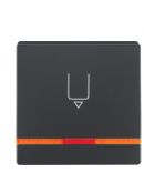 Накладка карткового вимикача Berker Qx 16406086 з лінзою (антрацит)
