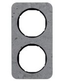 Двухместная рамка Berker R.1 10122374 (серый/черная)