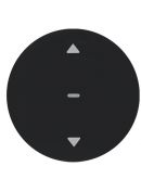 Кнопка для вставки жалюзи Berker R.x 85241131 (черная)