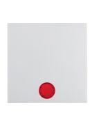 Клавіша одинарна з червоною лінзою, полярна білизна, Berker S.1