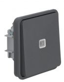 Одноклавишный кнопочный выключатель с подсветкой серый Berker W.1