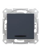 Одноклавішний двополюсний вимикач Schneider Electric Sedna SDN0201170 з індикацією (графіт)