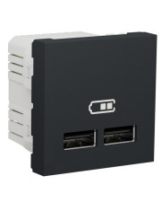 Подвійна USB розетка Schneider Electric NU341854 2.1А 2М (антрацит)