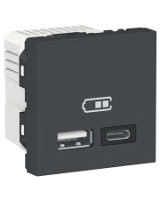 Двойная USB розетка Schneider Electric NU301854 тип А+тип С (антрацит)