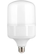 Лампа светодиодная Delux (90007012) BL80 E27/E40 6500K 50Вт (адаптер в комплекте)