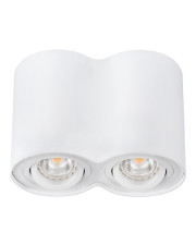 Двойной поворотный светильник Down Light Kanlux Bord DLP-250-W (22554) белый