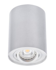 Цилиндрический поворотный светильник Down Light Kanlux Bord DLP-50-AL (22550) алюминий
