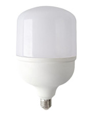Светодиодная высокомощная лампа Евросвет 42332 (VIS-50-E40) 50Вт 4200К