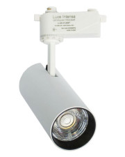 Трековый светильник Евросвет Luce Intensa LI-20-01 (56772) 20Вт 4200К (белый)