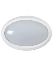 Овальный белый LED светильник IEK LDPO0-5020-08-4000-K01 ДПО 5020 8Вт 4000K IP65