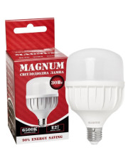 LED лампа Magnum BL80 30Вт 220В E27 6500K (90015907)