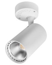 Настенно-потолочный поворотный светильник Delux TL02S 20Вт 4000K 36° белый (90015900)