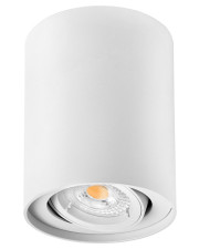 Цилиндрический точечный светильник Delux LDL-41 белый (90015916)