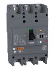 Автоматичний вимикач Schneider Electric EASYPACT EZCV250H 3P3T 36кА 250А