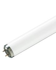 Линейная лампа Philips TL 80Вт/10-R SLV/25