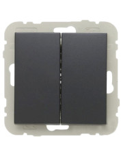 Двухклавишный выключатель Logus 21061 TIS 10АХ 250В (серый)