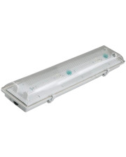 Термостойкий светильник IEK ЛСП 3902А ABS/PS 2х36Вт IP65