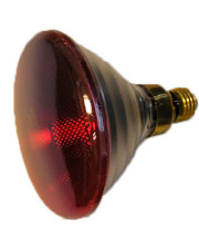 Лампа інфрачервона 250Вт 230В R123RB, HELIOS