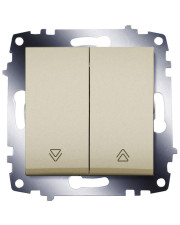 Двухклавишный выключатель для жалюзи ABB Cosmo 619-011400-216 (титан)