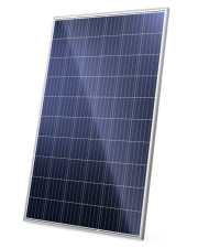 Сонячна панель Ja solar JAP6 60-260 4BB