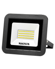 Прожектор Magnum FL ECO LED 50Вт Slim 6500К IP65