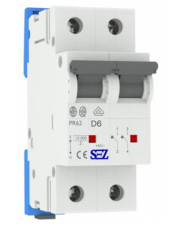 Двухполюсный автомат SEZ 62 D 6А 2P (PR62D6А)