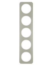 Пятиместная рамка Berker R.1 10152114 (нержавеющая сталь/полярная белизна)
