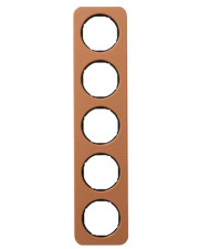 Пятиместная рамка Berker R.1 10152364 (коричневый/черная)