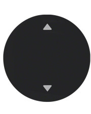 Одинарная клавиша выключателя Berker R.x 16202005 с символом «Стрелки» (черная)