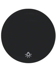 Одинарная клавиша выключателя Berker R.x 16202035 с символом «Свет» (черная)