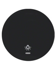 Одинарная клавиша выключателя Berker R.x 16212035 с символом «Свет» с линзой (черная)