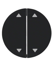 Двонопічна клавіша вимикача Berker Rx 16442045 із символом «Стрілка» (чорна)