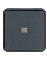 Одинарная клавиша выключателя Berker W.1 30863545 с линзой (серый)