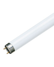 Лампа люмінесцентна 36 Вт Т8 TL-D Standard Colours 36/33-640 G13 Philips