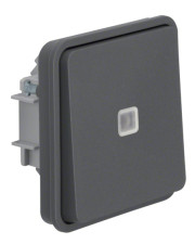Одноклавишный кнопочный выключатель с подсветкой серый Berker W.1
