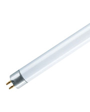 Лінійна лампа люмінесцентна Т5 8 Вт/840 G5 Lumilux Osram