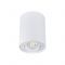 Цилиндрический поворотный светильник Down Light Kanlux Bord DLP-50-W (22551) белый