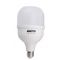 Светодиодная лампа TNSy LED Bulb-T100-30W-E27-220V-4000K-2700L ICCD (TNSy5000259)